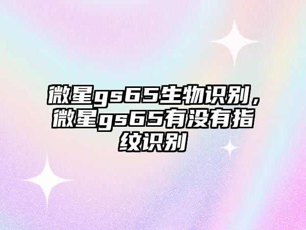 微星gs65生物識別，微星gs65有沒有指紋識別