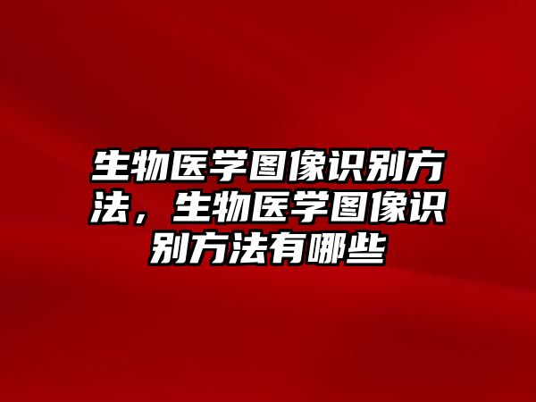 生物醫(yī)學圖像識別方法，生物醫(yī)學圖像識別方法有哪些