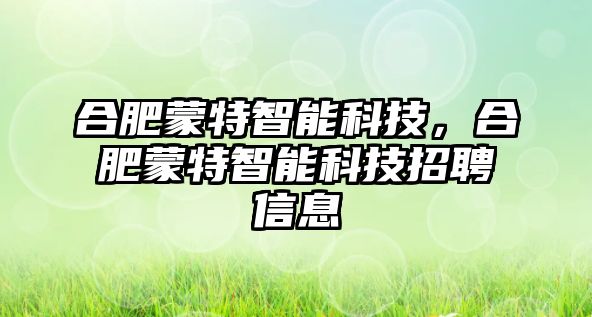 合肥蒙特智能科技，合肥蒙特智能科技招聘信息